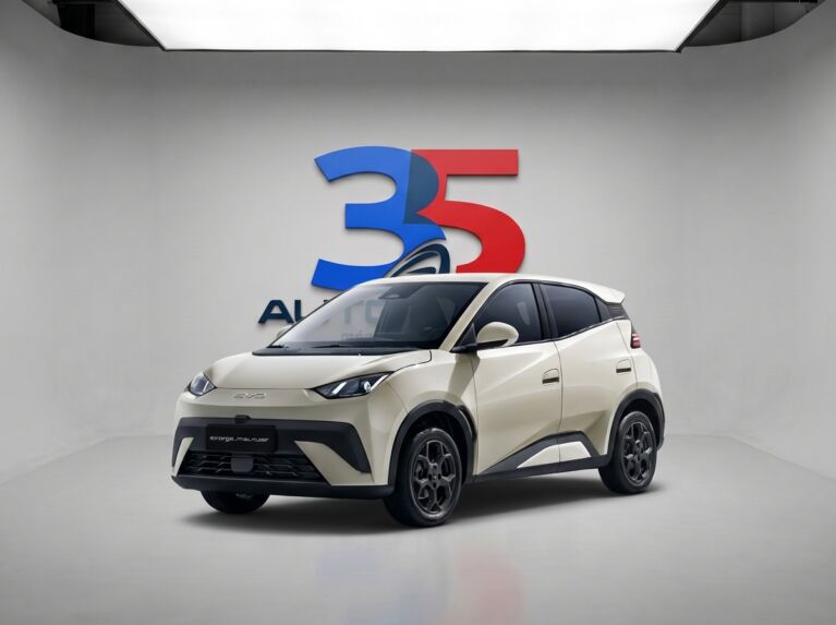 BYD DOLPHIN SURF Boost