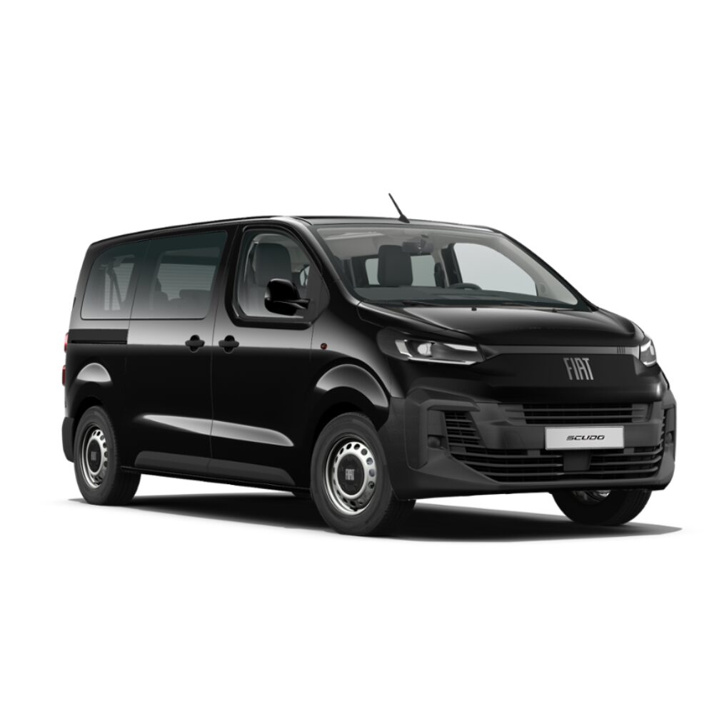 Fiat ULYSSE Icon